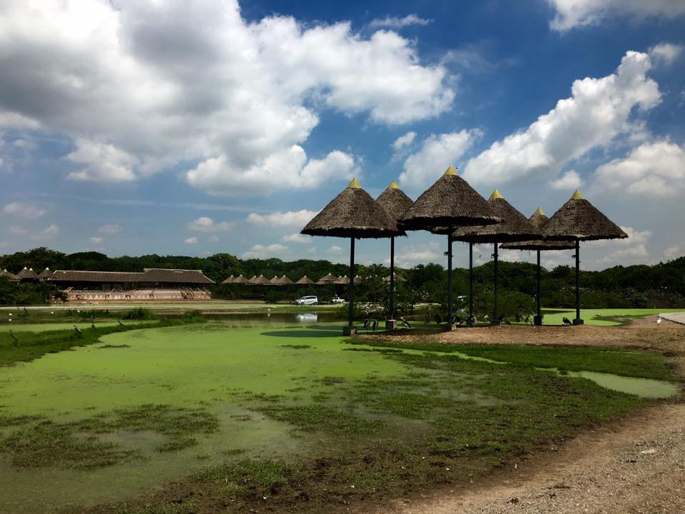 受到親子旅行組合喜愛的景點。攝影:Mars 受到親子旅行組合喜愛的景點。攝影:Mars