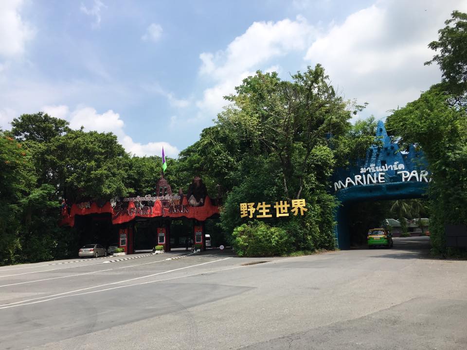 賽佛瑞野生動物園入口。攝影:Mars 賽佛瑞野生動物園入口。攝影:Mars