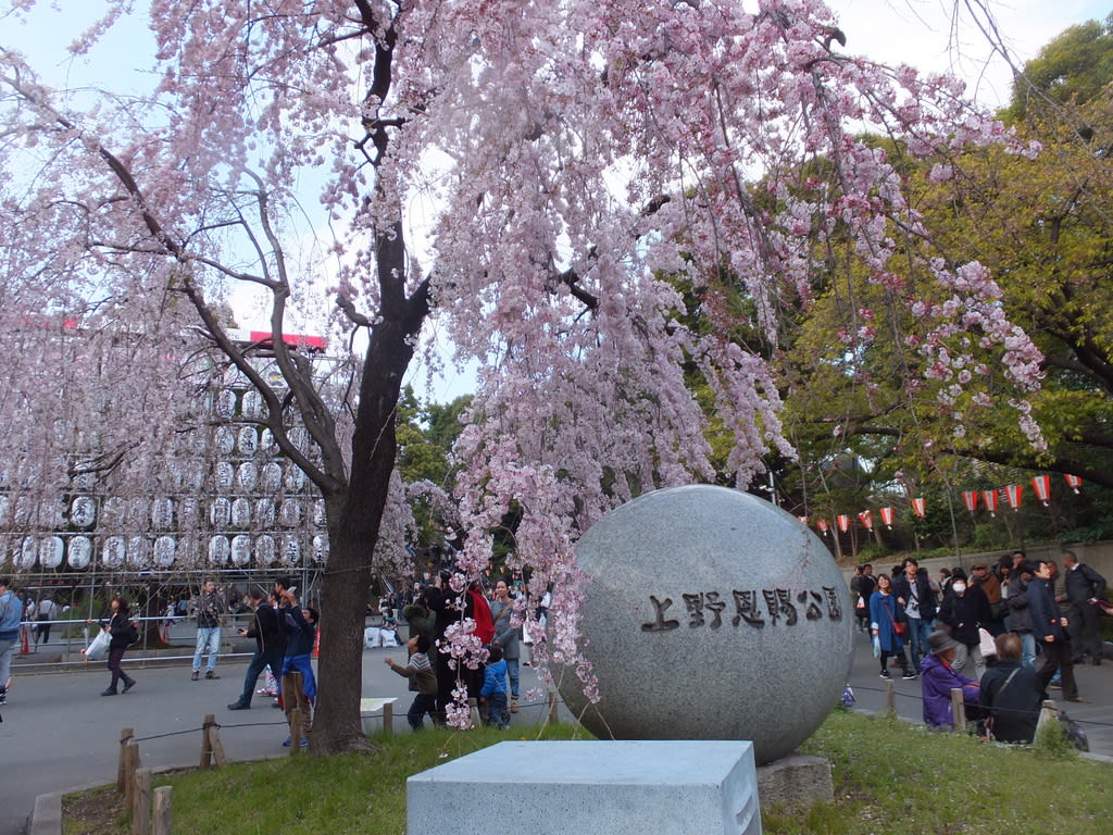 櫻花盛開的上野恩賜公園。(來源:4travel.jp) 櫻花盛開的上野恩賜公園。(來源:4travel.jp)