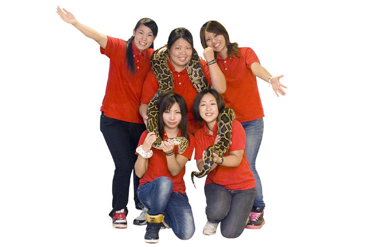 敢挑戰嗎?和蛇親自互動。(圖片取自沖繩世界 文化王國‧玉泉洞官網) 敢挑戰嗎?和蛇親自互動。(圖片取自沖繩世界 文化王國‧玉泉洞官網)
