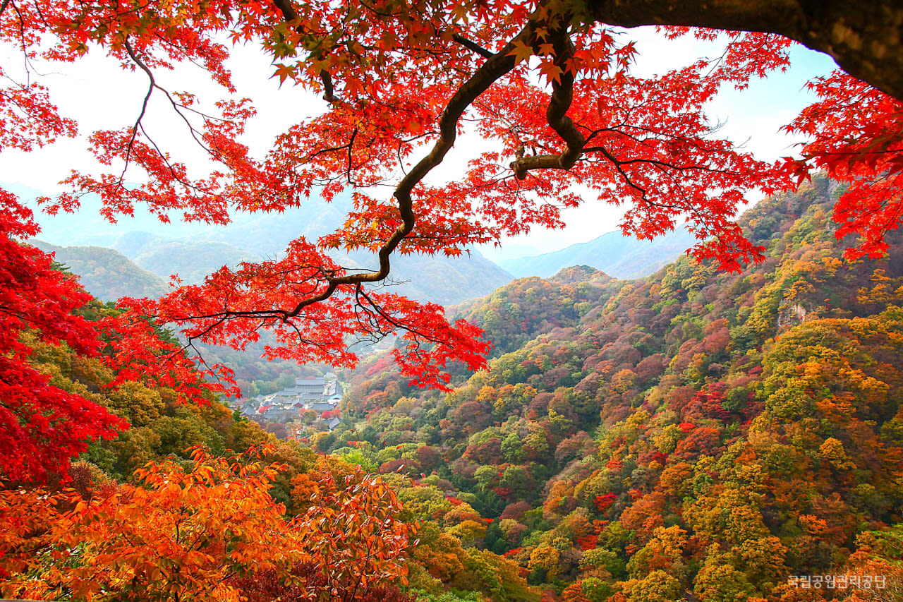 內藏山國立公園，圖片取自http://www.knps.or.kr 。