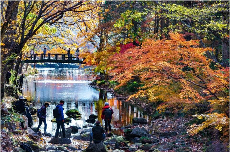 圖片取自雪嶽山國立公園FB粉絲團。 圖片取自雪嶽山國立公園FB粉絲團。