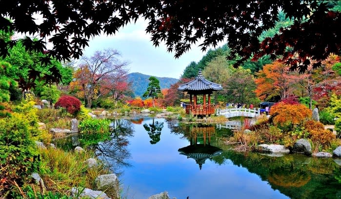 晨靜樹木園,圖片取自韓國觀光公社官網。 晨靜樹木園,圖片取自韓國觀光公社官網。