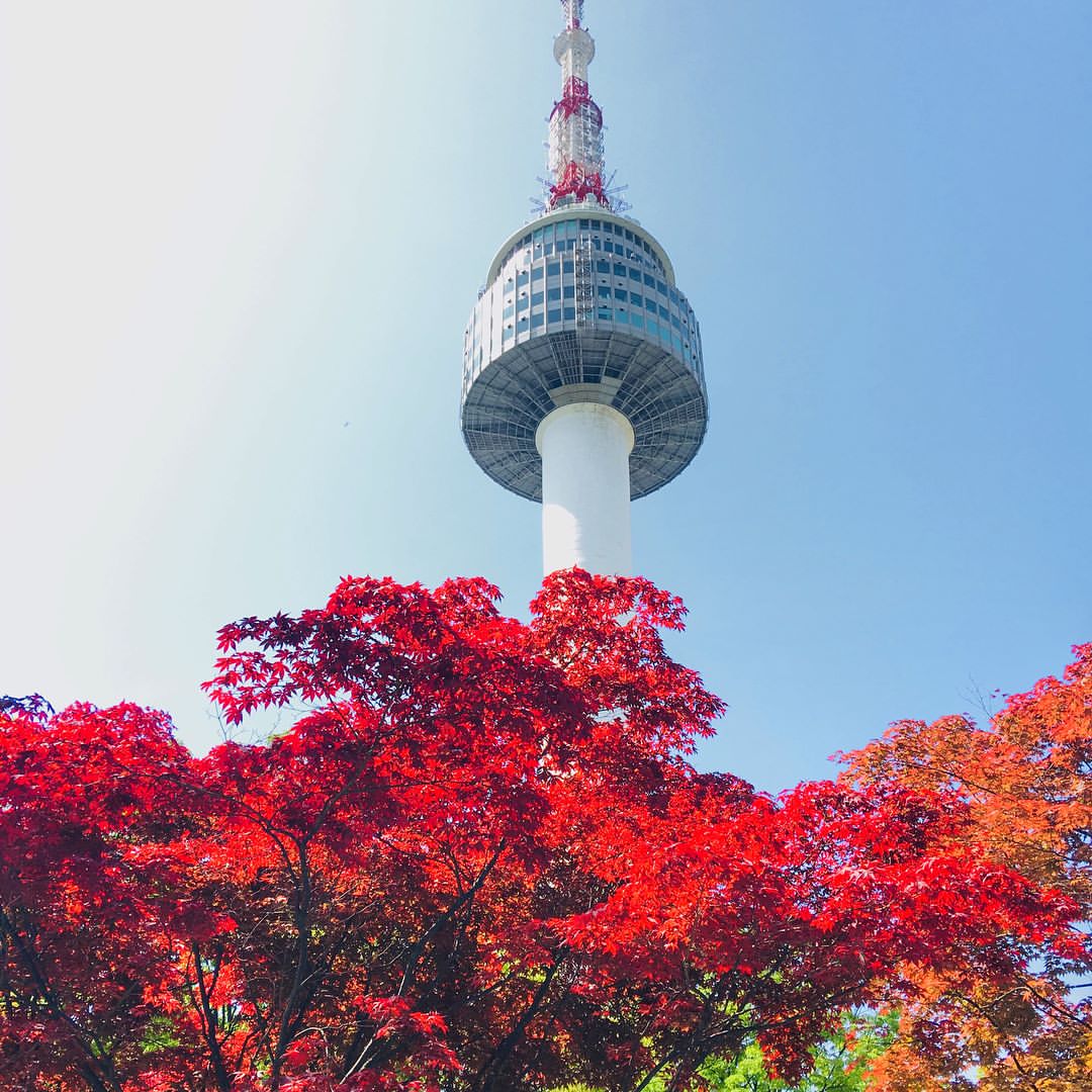 南山公園,圖片取自http://www.twgram.me @dreamcars_kun。 南山公園,圖片取自http://www.twgram.me @dreamcars_kun。