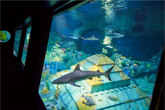 Submarine Adventure 半潛艇,取自:名古屋樂高樂園官方網站 Submarine Adventure 半潛艇,取自:名古屋樂高樂園官方網站