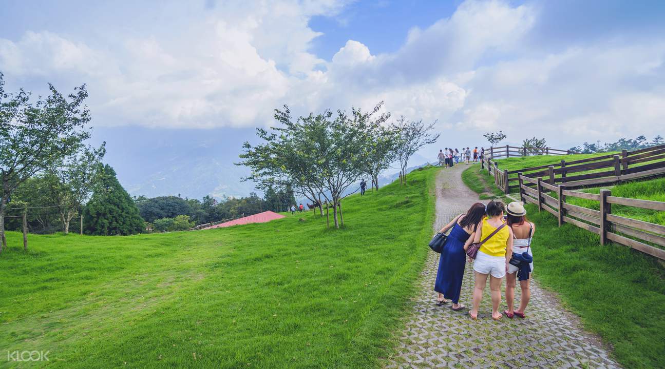 清境農場 清境農場