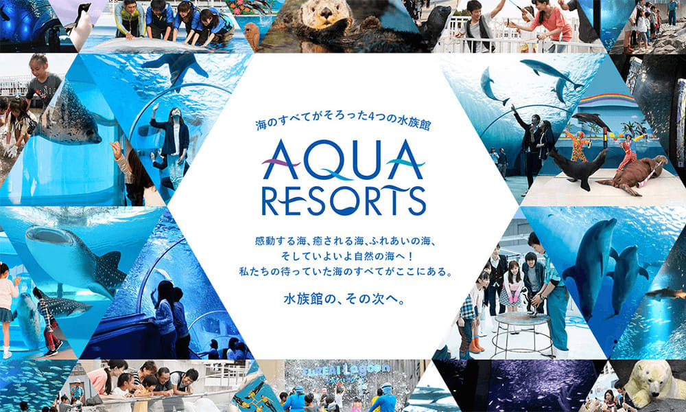日本最大規模水族館就在橫濱八景島海島樂園。(圖片取自橫濱八景島海島樂園官網) 日本最大規模水族館就在橫濱八景島海島樂園。(圖片取自橫濱八景島海島樂園官網)