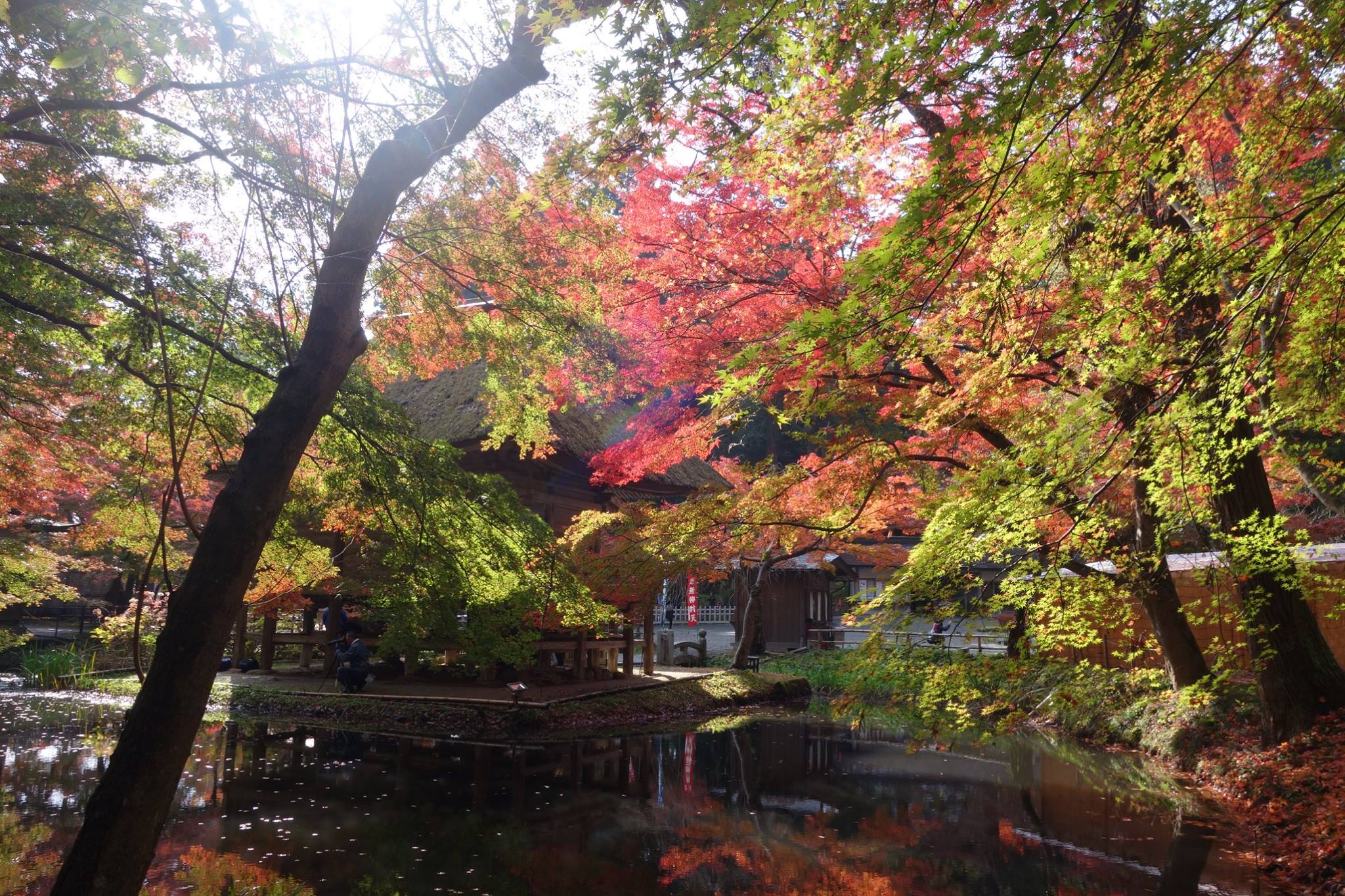 岩手縣中尊寺 來源：中尊寺粉絲專頁