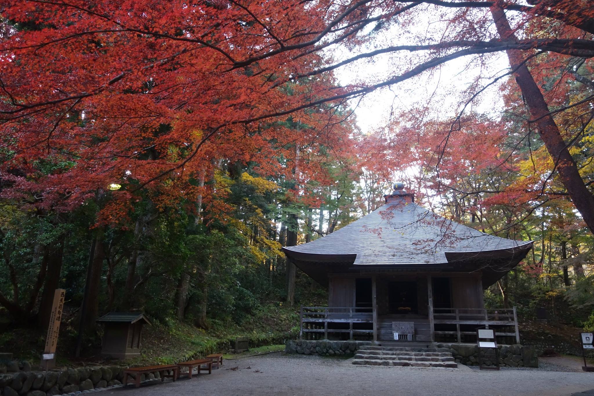 岩手縣中尊寺 來源：中尊寺粉絲專頁