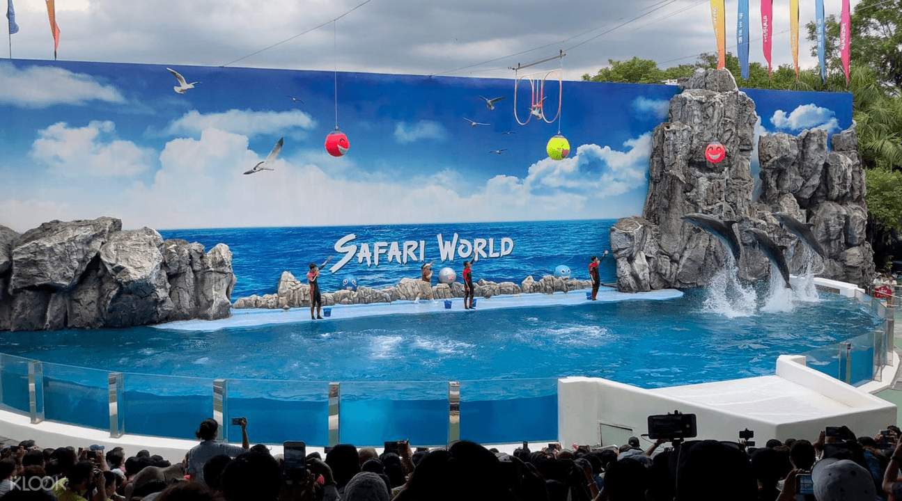 曼谷賽佛瑞野生動物園 海洋公園區 精彩的海豚表演