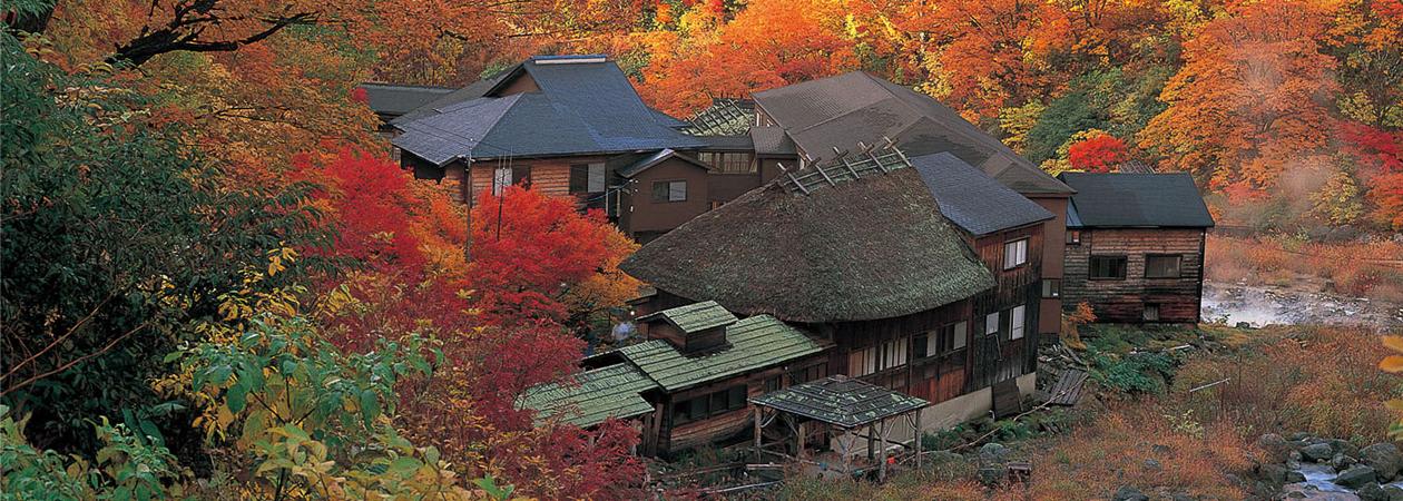 秋田縣乳頭溫泉鄉之一的黑湯溫泉 來源：Tabirai Japan