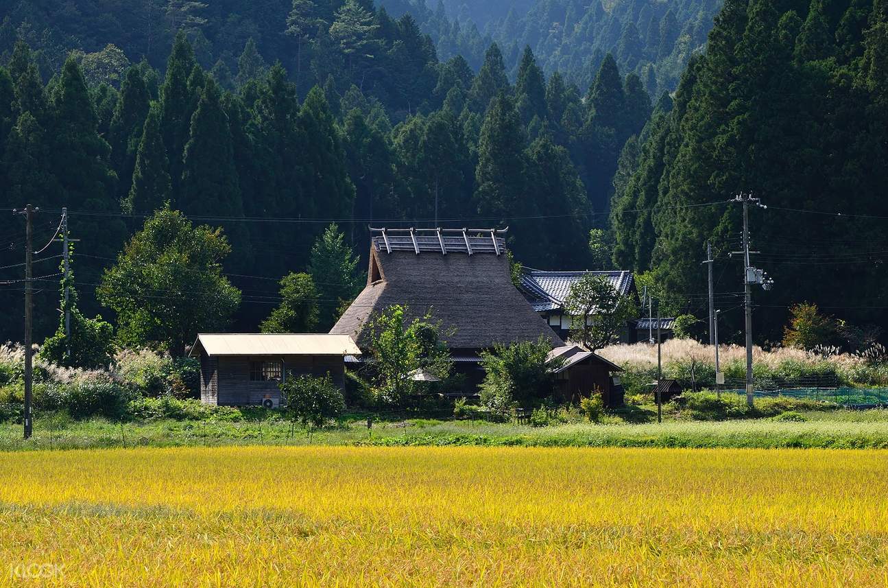 美山茅屋之里，茅草小屋的田園風光，難怪享有「心靈的故鄉」美譽。