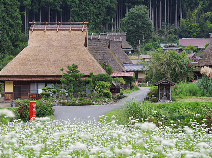 美山茅屋之里，圖片取自日本京都府旅遊官網。