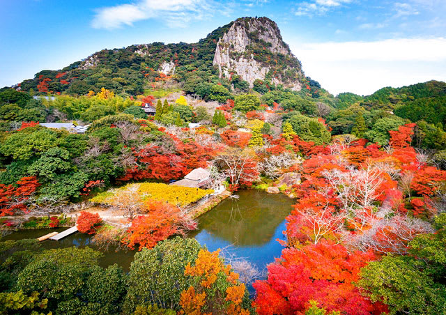 御船山樂園在秋季的夜晚還有全日本最大規模的紅葉點燈活動。(圖片取自www.rurubu.com) 御船山樂園在秋季的夜晚還有全日本最大規模的紅葉點燈活動。(圖片取自www.rurubu.com)