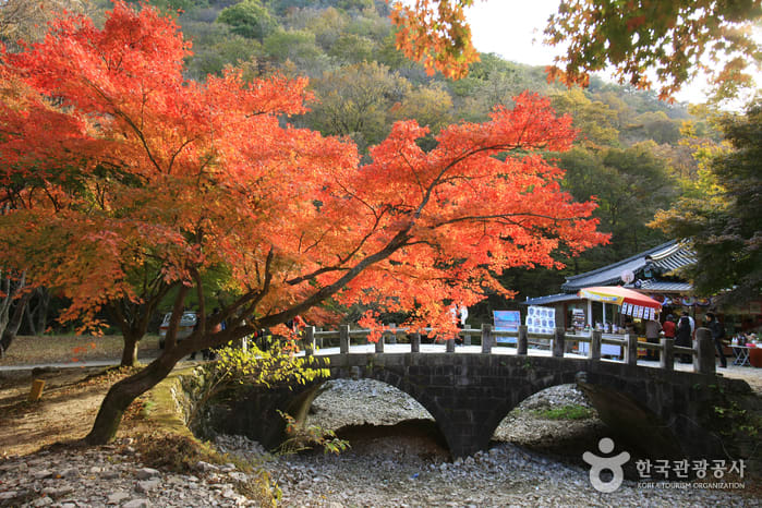 內藏寺 來源:韓國觀光旅遊網 內藏寺 來源:韓國觀光旅遊網