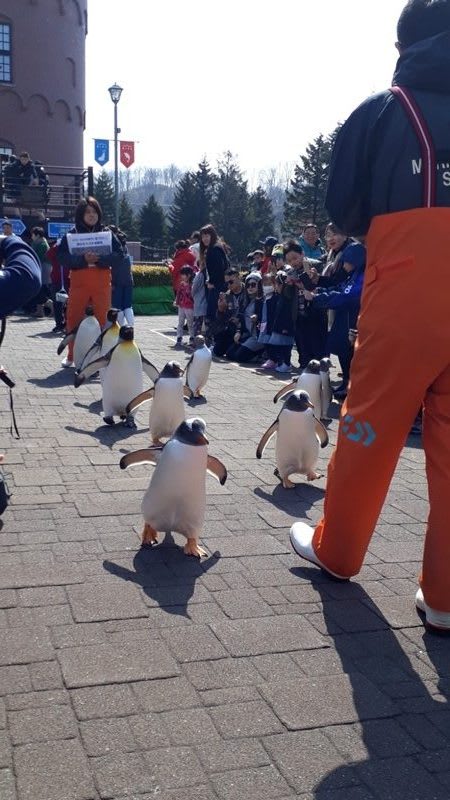 登別尼克斯海洋公園,photo by Artshen 登別尼克斯海洋公園,photo by Artshen