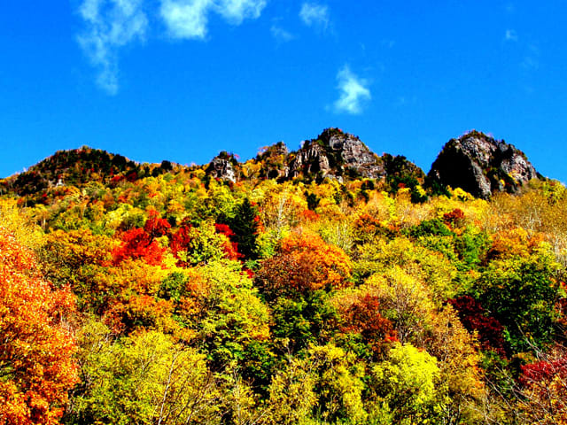 層雲峽紅黃綠交錯的美景。(圖片取自www.rurubu.com) 層雲峽紅黃綠交錯的美景。(圖片取自www.rurubu.com)