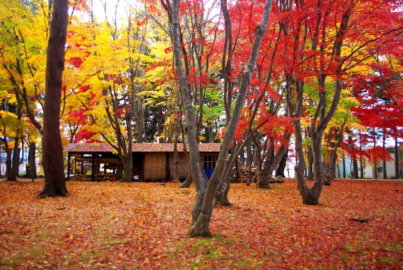 見晴公園 來源:函館市觀光資訊官網 見晴公園 來源:函館市觀光資訊官網