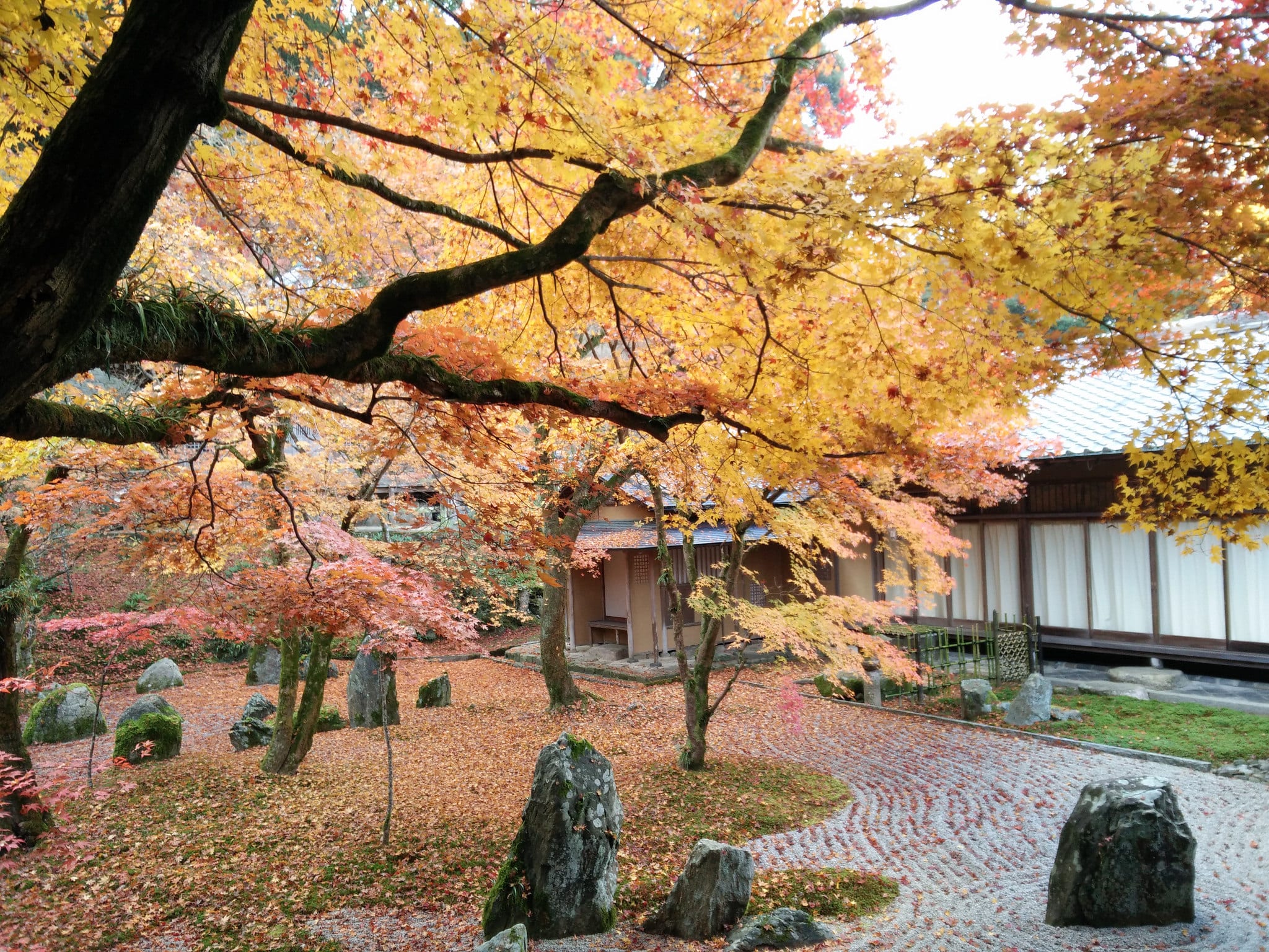 光明禪寺 來源:flickr@小翔 張 光明禪寺 來源:flickr@小翔 張