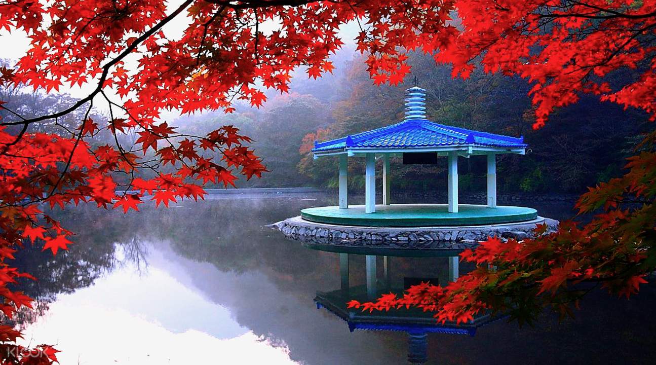 內藏山羽化亭的美景 內藏山羽化亭的美景