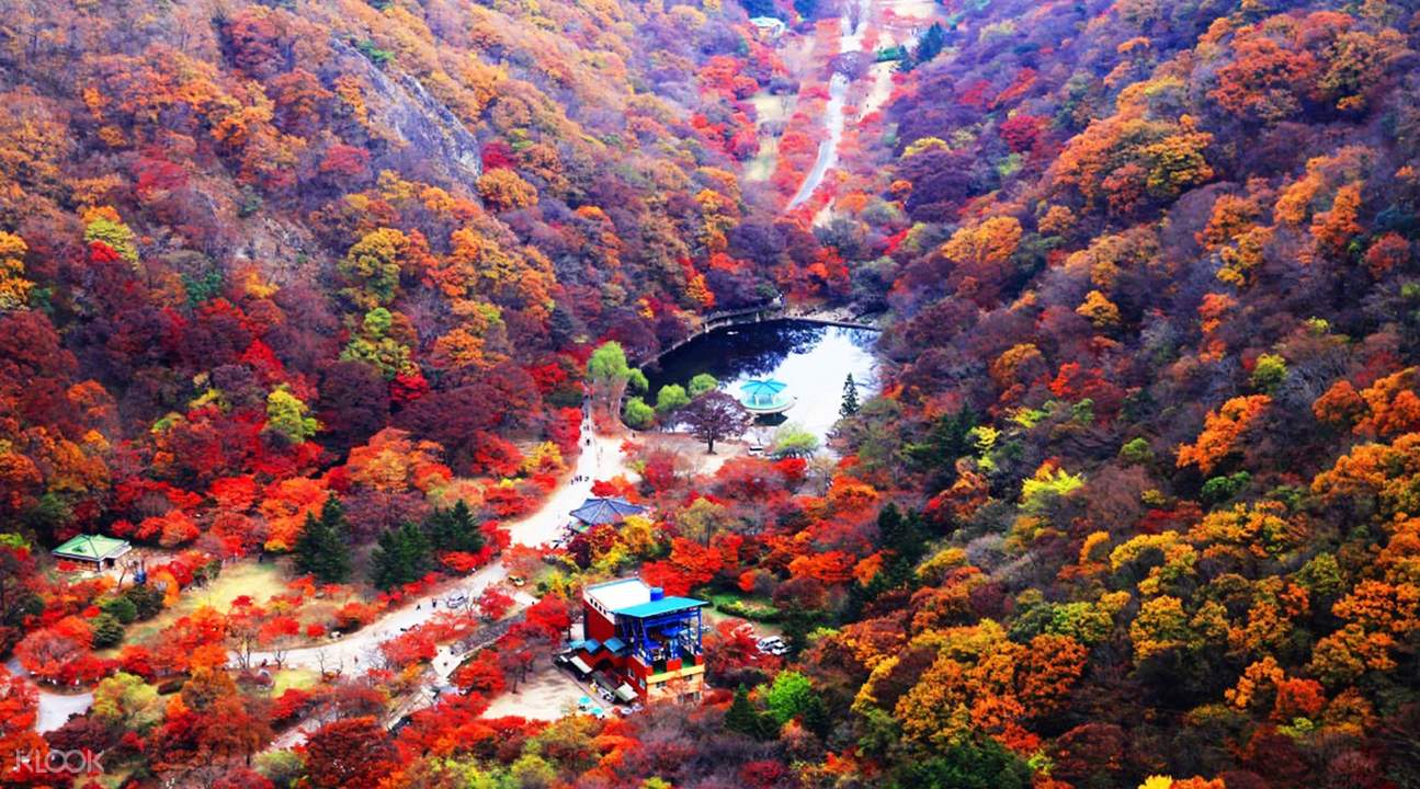 一覽無遺內藏山 一覽無遺內藏山