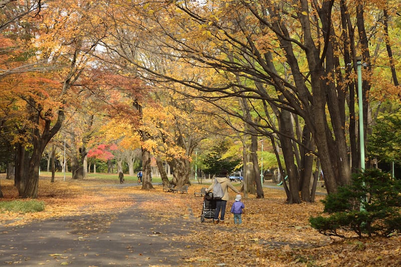 圓山公園 來源:歡迎光臨札幌 圓山公園 來源:歡迎光臨札幌