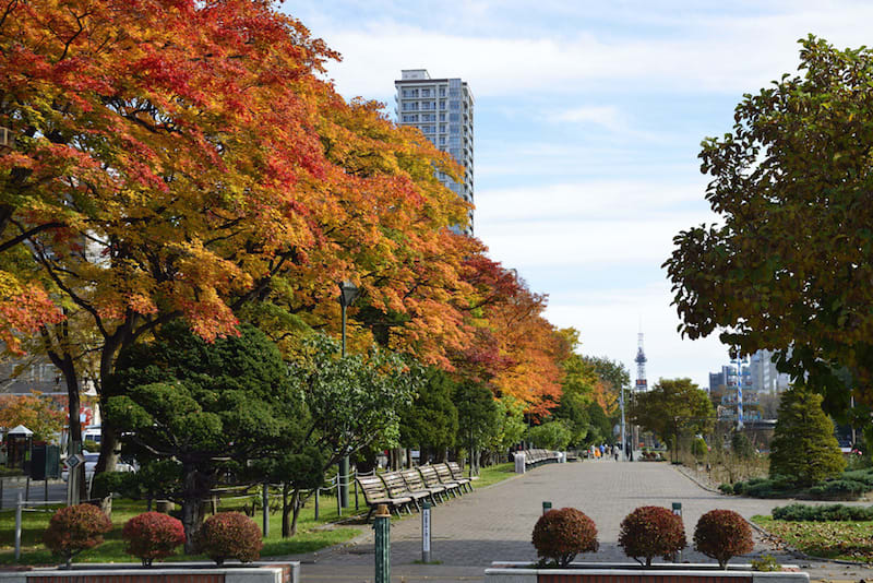 大通公園 來源:歡迎光臨札幌 大通公園 來源:歡迎光臨札幌