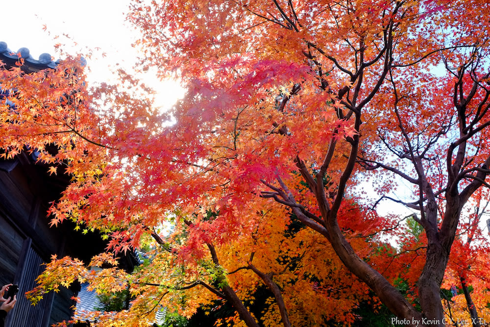 太宰府天滿宮 來源:flickr@Kevin Lee 太宰府天滿宮 來源:flickr@Kevin Lee