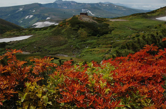 層雲峽 來源:官網 層雲峽 來源:官網