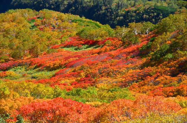 層雲峽 來源:官網 層雲峽 來源:官網
