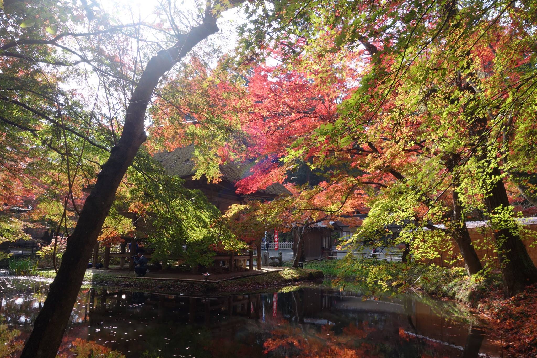 岩手縣中尊寺 來源:中尊寺粉絲專頁 岩手縣中尊寺 來源:中尊寺粉絲專頁