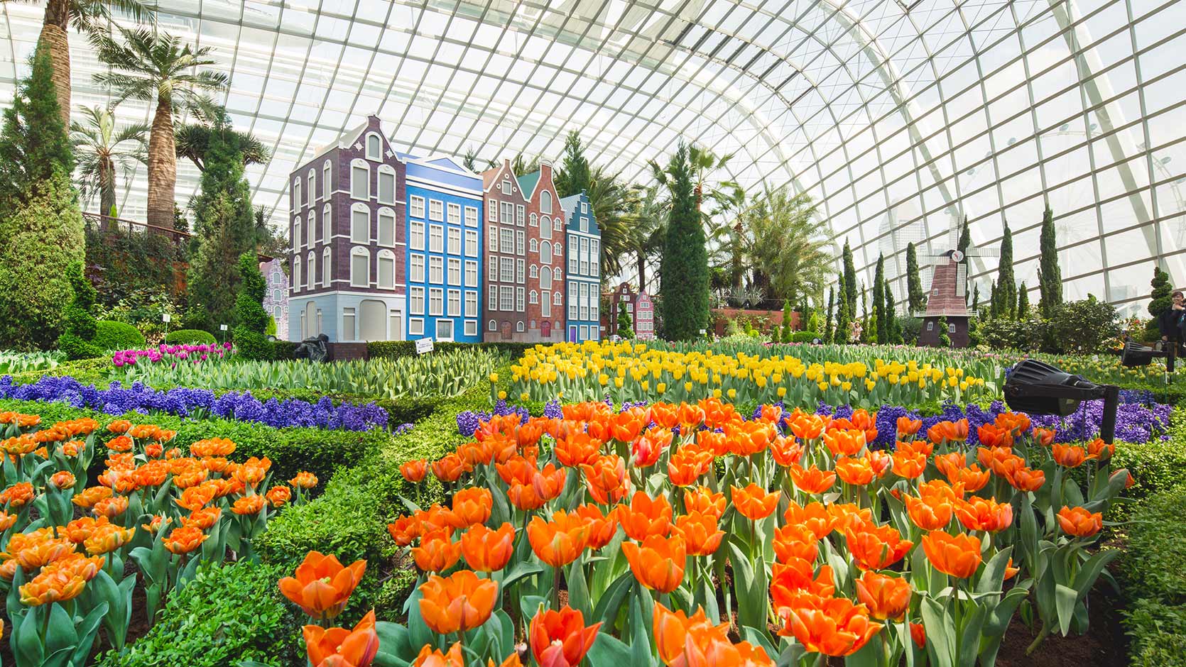 濱海公園的花芎有上千種花。相片來源:濱海公園官方網站。 濱海公園的花芎有上千種花。相片來源:濱海公園官方網站。
