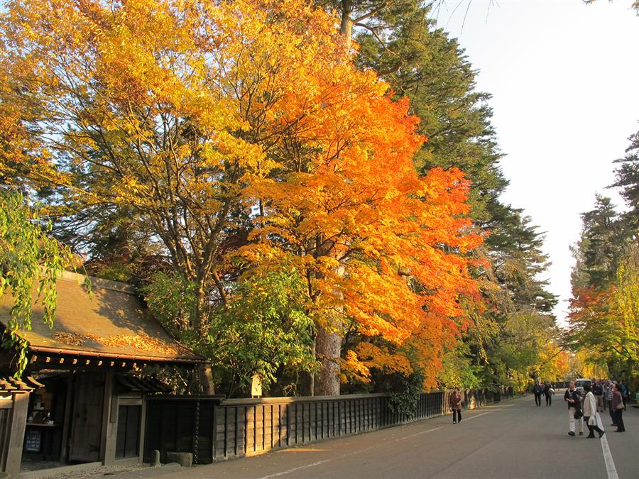秋田縣角館 石黑武家屋敷 來源:石黑家官網 秋田縣角館 石黑武家屋敷 來源:石黑家官網