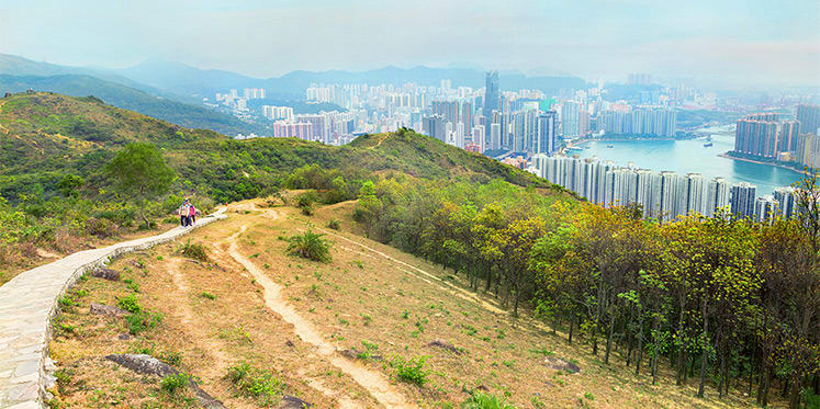 大帽山郊野公園,圖片取自香港旅遊局。 大帽山郊野公園,圖片取自香港旅遊局。