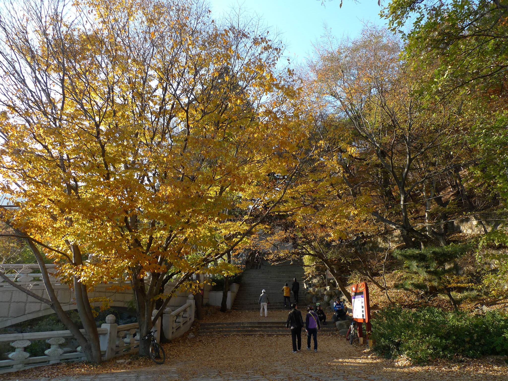 梵魚寺 來源:flickr@SK L 梵魚寺 來源:flickr@SK L