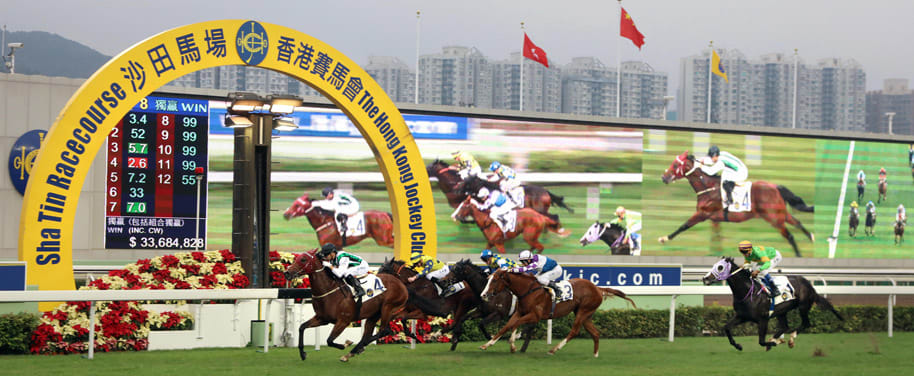 沙田馬場,圖片取自entertainment.hkjc.com。 沙田馬場,圖片取自entertainment.hkjc.com。