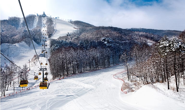 鳳凰城滑雪渡假村,圖片取自phoenixhnr.co.kr。 鳳凰城滑雪渡假村,圖片取自phoenixhnr.co.kr。
