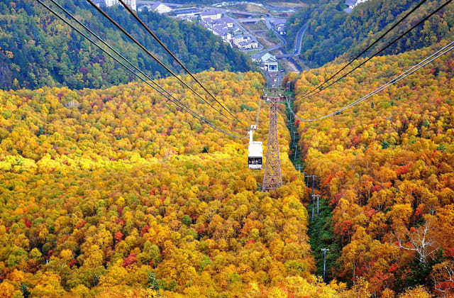 層雲峽紅黃綠交錯的美景。(圖片取自www.rurubu.com)