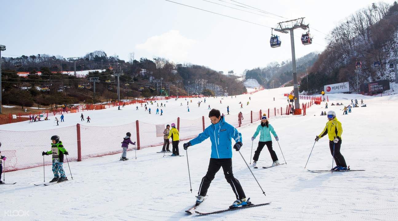 Skiing適合初學者。 Skiing適合初學者。