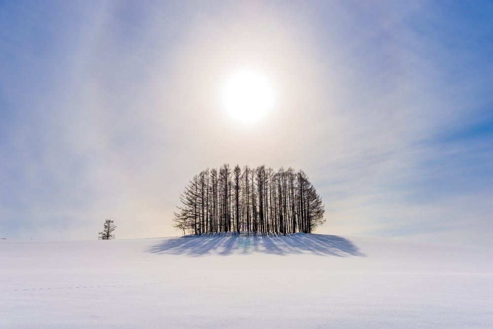 富良野 美瑛，圖片取自hokkaido.co.kr。