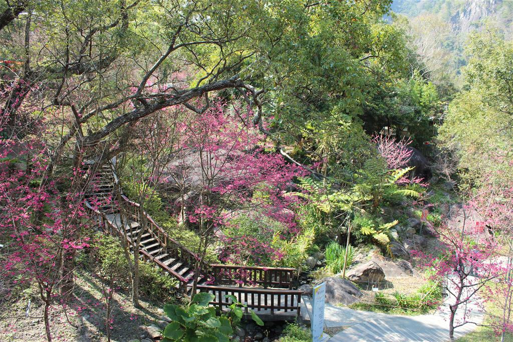 谷關溫泉公園 來源：官網