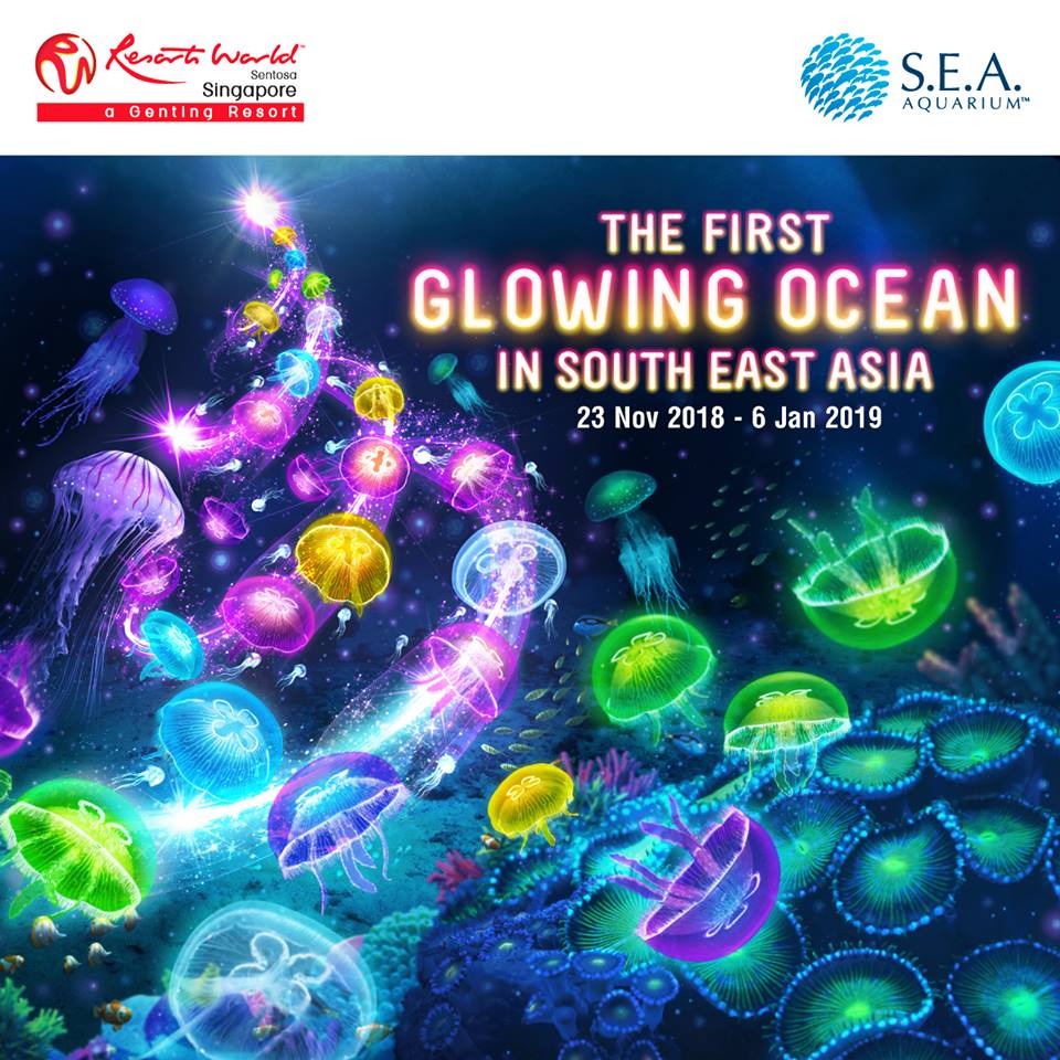 S.E.A.海洋館 來源:www.rwsentosa.com: S.E.A.海洋館 來源:www.rwsentosa.com: