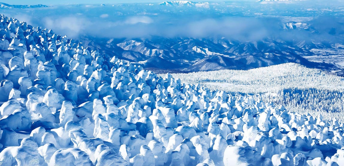 藏王樹冰,圖片取自www.kankou.yamagata.yamagata.jp。 藏王樹冰,圖片取自www.kankou.yamagata.yamagata.jp。