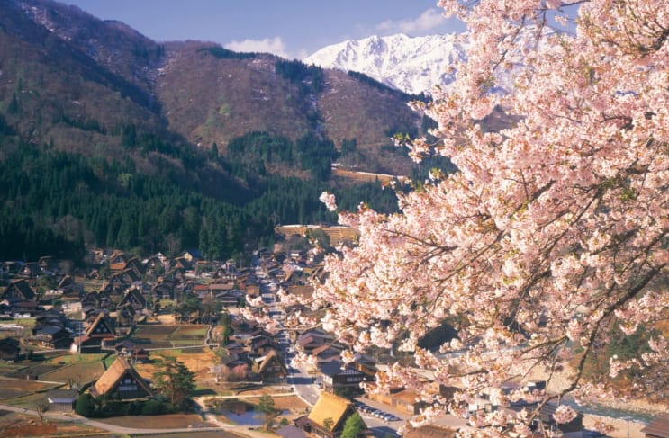合掌村春景。(圖片取自zh-tw.zekkeijapan.com) 合掌村春景。(圖片取自zh-tw.zekkeijapan.com)