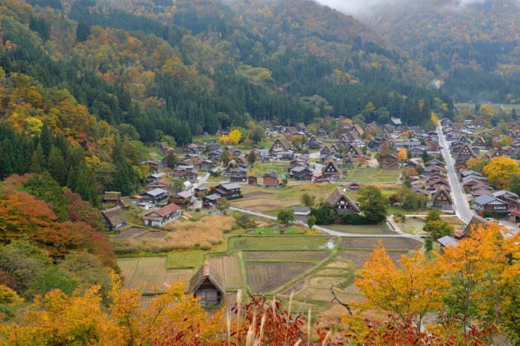 合掌村秋景。(圖片取自zh-tw.zekkeijapan.com) 合掌村秋景。(圖片取自zh-tw.zekkeijapan.com)