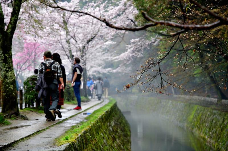 哲學之道（照片來源：キューチャン＠Photozou）https://bit.ly/2FFEaOK