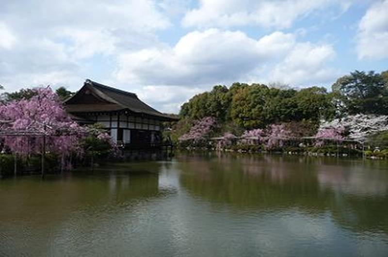 平安神宮（照片來源：京都櫻photo）https://bit.ly/2TX4LL0