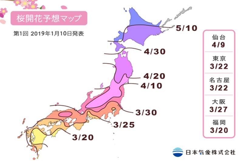 日本櫻花花開預測第一回（照片來源：日本氣象株式會社）https://bit.ly/2HchrfG