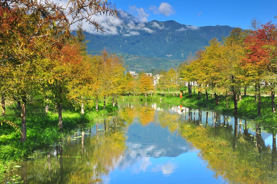 【2020台灣花季】台灣賞花景點總整理!四月繽紛花季，油桐花、繡球花浪漫開放! - Klook Travel Blog