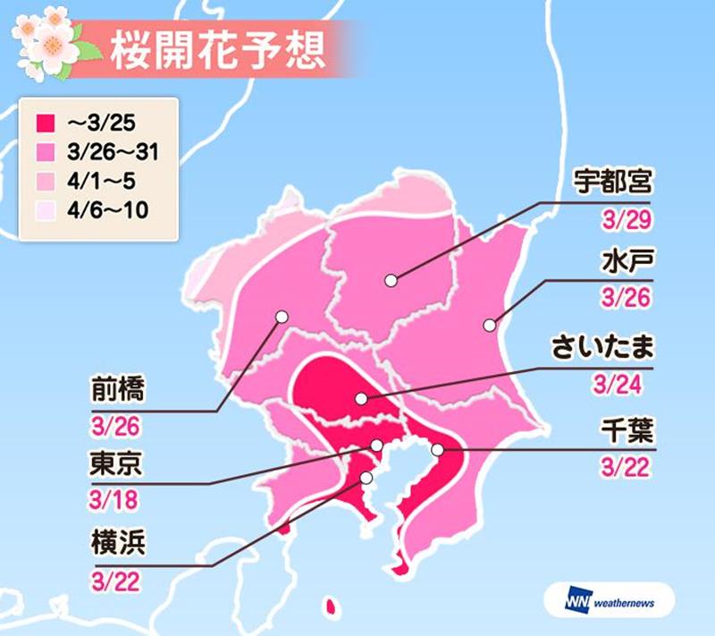 關東地區櫻花開花預測（圖片來源：Weather Map官網）https://bit.ly/2QZYQDm